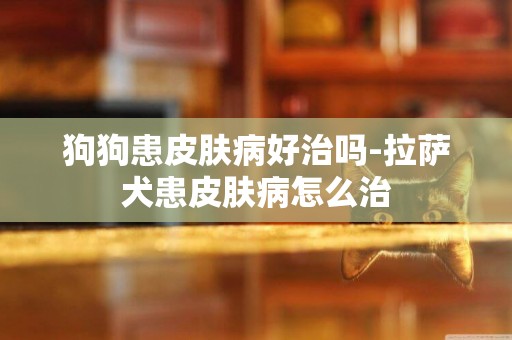 狗狗患皮膚病好治嗎-拉薩犬患皮膚病怎么治