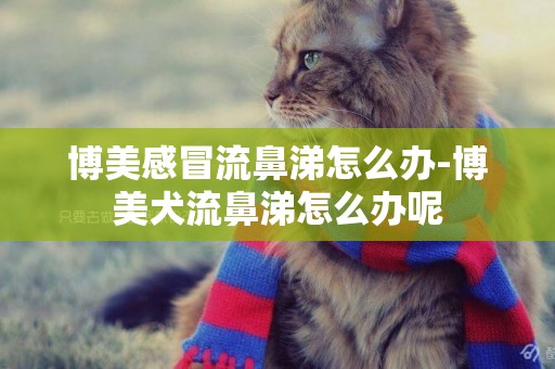 博美感冒流鼻涕怎么辦-博美犬流鼻涕怎么辦呢