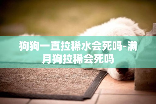 狗狗一直拉稀水會死嗎-滿月狗拉稀會死嗎