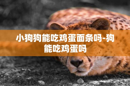 小狗狗能吃雞蛋面條嗎-狗能吃雞蛋嗎