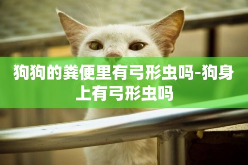 狗狗的糞便里有弓形蟲嗎-狗身上有弓形蟲嗎