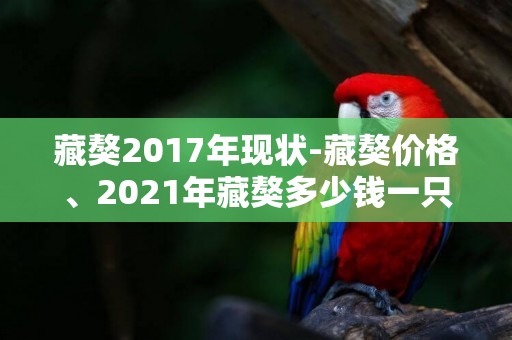 藏獒2017年現狀-藏獒價格、2021年藏獒多少錢一只