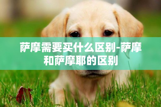 薩摩需要買什么區別-薩摩和薩摩耶的區別