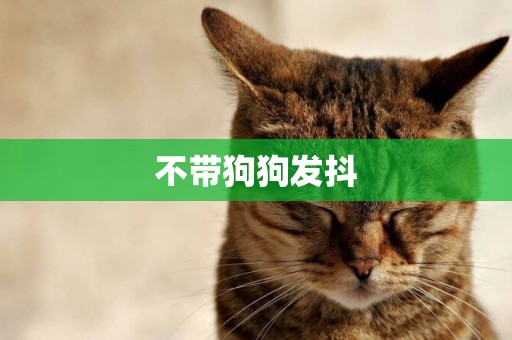 不帶狗狗發抖