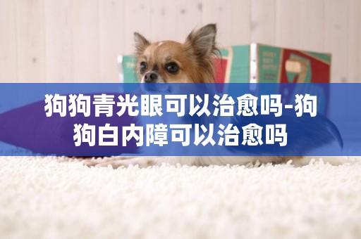 狗狗青光眼可以治愈嗎-狗狗白內障可以治愈嗎