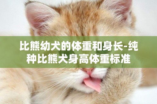 比熊幼犬的體重和身長-純種比熊犬身高體重標準