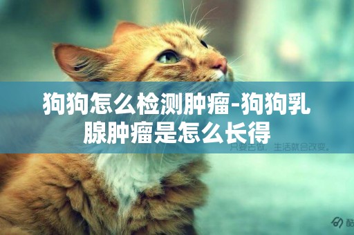 狗狗怎么檢測腫瘤-狗狗乳腺腫瘤是怎么長得