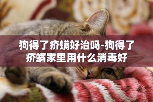 狗得了疥螨好治嗎-狗得了疥螨家里用什么消毒好