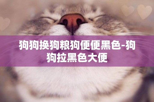 狗狗換狗糧狗便便黑色-狗狗拉黑色大便