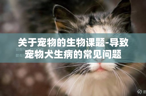 關于寵物的生物課題-導致寵物犬生病的常見問題