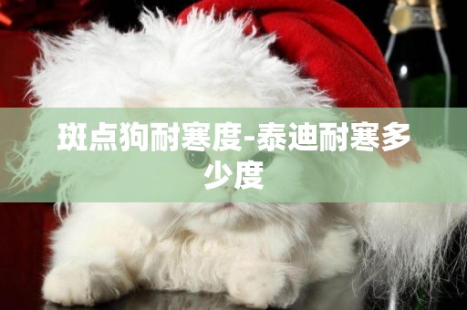 斑點狗耐寒度-泰迪耐寒多少度