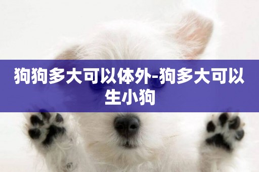 狗狗多大可以體外-狗多大可以生小狗