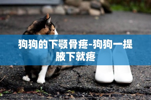 狗狗的下顎骨疼-狗狗一提腋下就疼