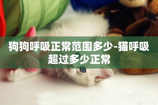 狗狗呼吸正常范圍多少-貓呼吸超過多少正常