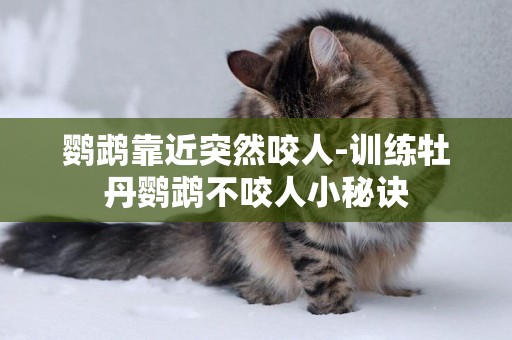 鸚鵡靠近突然咬人-訓練牡丹鸚鵡不咬人小秘訣