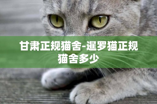 甘肅正規貓舍-暹羅貓正規貓舍多少