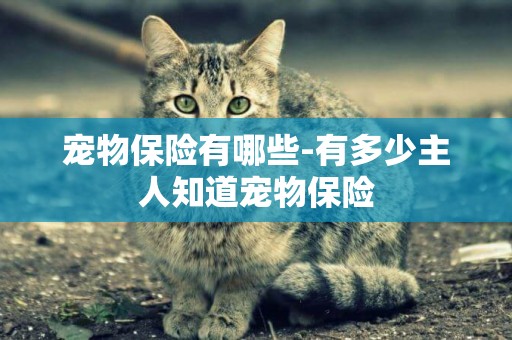 寵物保險有哪些-有多少主人知道寵物保險