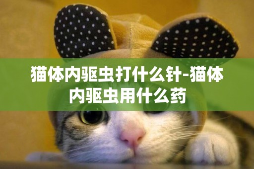 貓體內驅蟲打什么針-貓體內驅蟲用什么藥