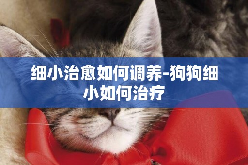 細小治愈如何調養-狗狗細小如何治療