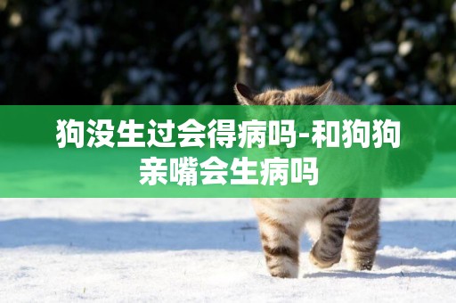 狗沒生過會得病嗎-和狗狗親嘴會生病嗎