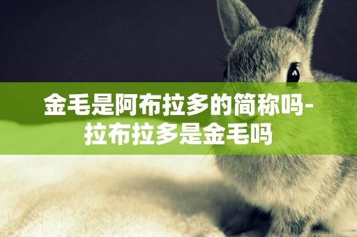 金毛是阿布拉多的簡稱嗎-拉布拉多是金毛嗎