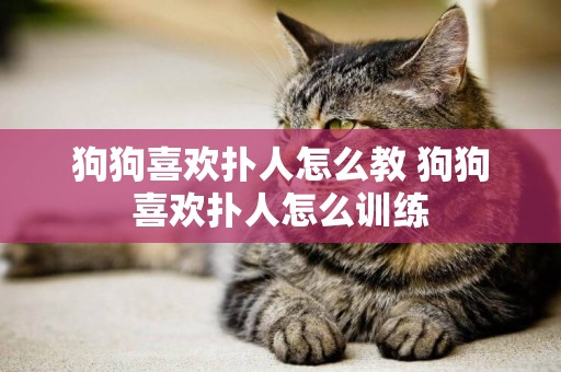 狗狗喜歡撲人怎么教 狗狗喜歡撲人怎么訓練