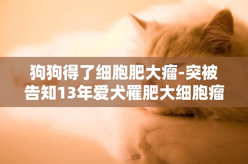 狗狗得了細胞肥大瘤-突被告知13年愛犬罹肥大細胞瘤