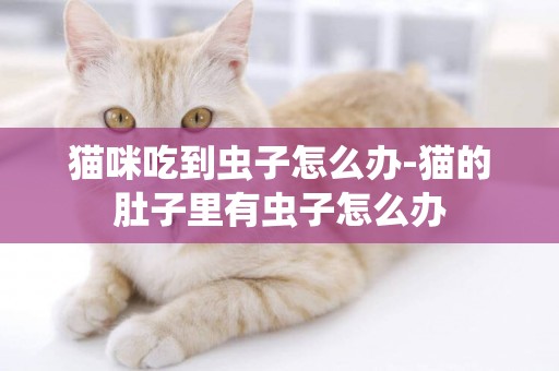 貓咪吃到蟲子怎么辦-貓的肚子里有蟲子怎么辦