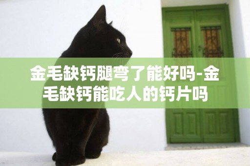 金毛缺鈣腿彎了能好嗎-金毛缺鈣能吃人的鈣片嗎