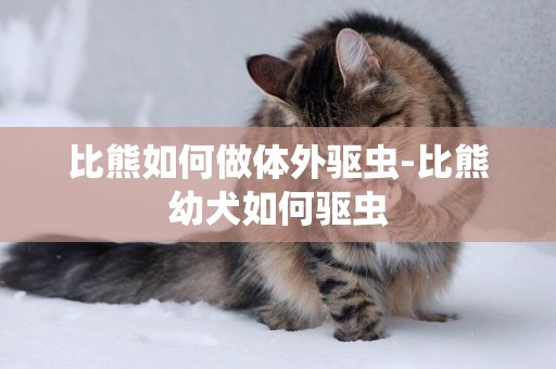 比熊如何做體外驅蟲-比熊幼犬如何驅蟲