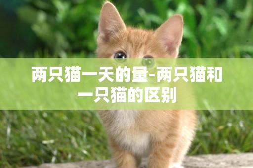 兩只貓一天的量-兩只貓和一只貓的區別