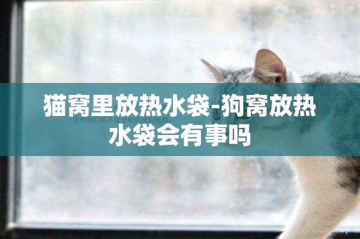 貓窩里放熱水袋-狗窩放熱水袋會有事嗎
