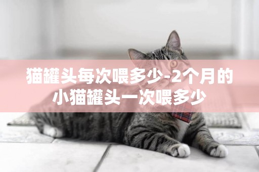 貓罐頭每次喂多少-2個月的小貓罐頭一次喂多少