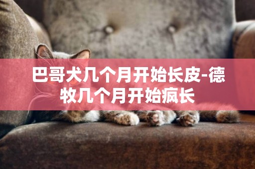 巴哥犬幾個月開始長皮-德牧幾個月開始瘋長
