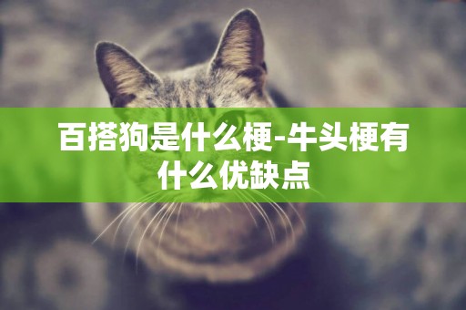 百搭狗是什么梗-牛頭梗有什么優缺點