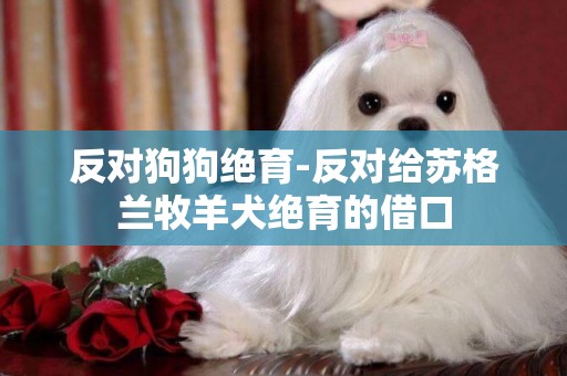 反對狗狗絕育-反對給蘇格蘭牧羊犬絕育的借口