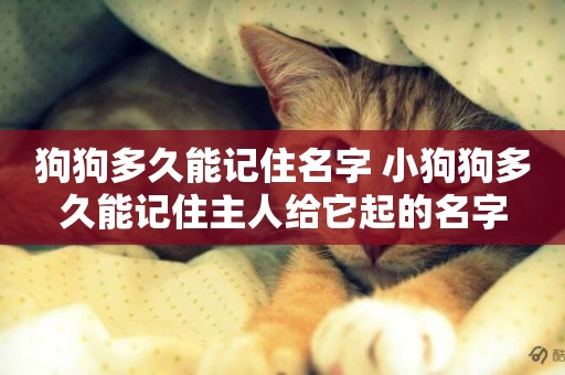 狗狗多久能記住名字 小狗狗多久能記住主人給它起的名字