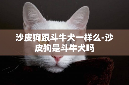 沙皮狗跟斗牛犬一樣么-沙皮狗是斗牛犬嗎