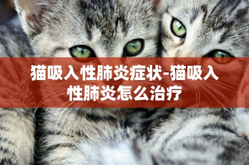 貓吸入性肺炎癥狀-貓吸入性肺炎怎么治療