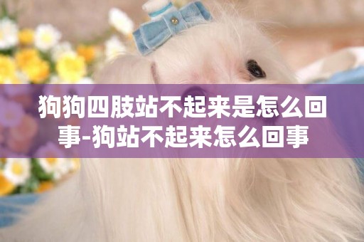 狗狗四肢站不起來是怎么回事-狗站不起來怎么回事
