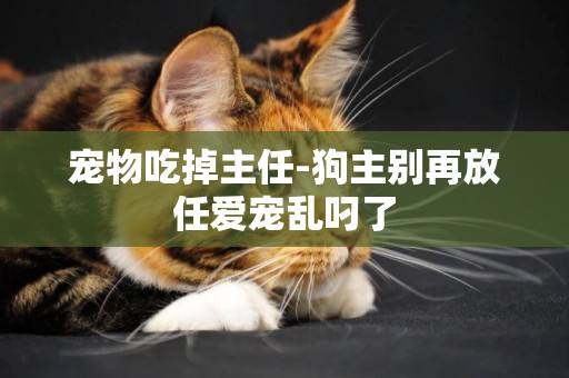 寵物吃掉主任-狗主別再放任愛寵亂叼了