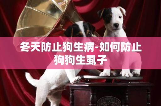 冬天防止狗生病-如何防止狗狗生虱子