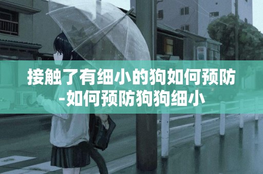 接觸了有細小的狗如何預防-如何預防狗狗細小