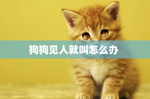 狗狗見人就叫怎么辦 