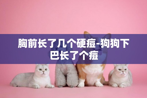 胸前長了幾個硬痘-狗狗下巴長了個痘