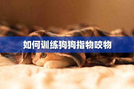 如何訓練狗狗指物咬物