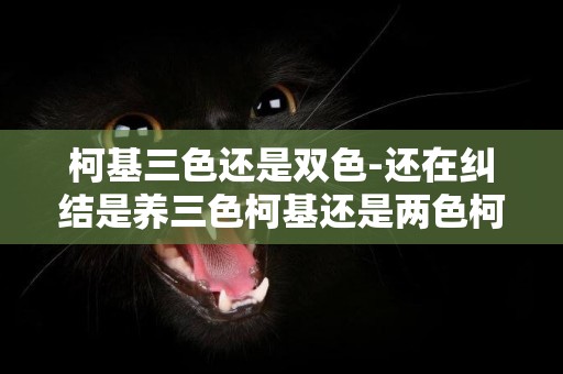 柯基三色還是雙色-還在糾結是養三色柯基還是兩色柯基