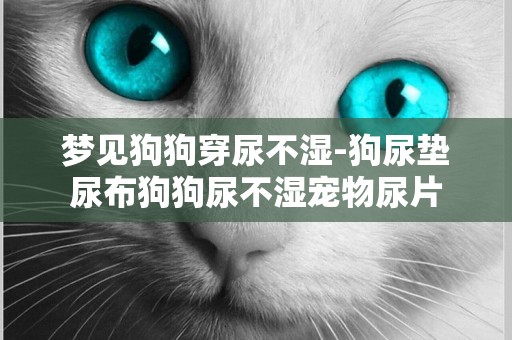夢見狗狗穿尿不濕-狗尿墊尿布狗狗尿不濕寵物尿片