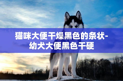 貓咪大便干燥黑色的條狀-幼犬大便黑色干硬