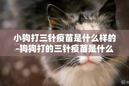 小狗打三針疫苗是什么樣的-狗狗打的三針疫苗是什么
